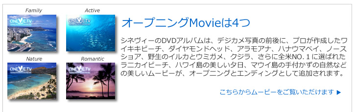 �I�[�v�j���OMovie�͂S��