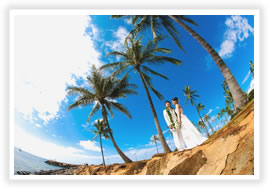 �v�`�V���f�����r�[�`�E�E�G�f�B���O