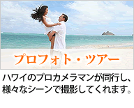 �v���t�H�g�E�c�A�[