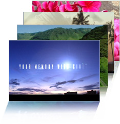 �G���f�B���O���[�r�[