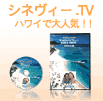 �V�l���B�[TV