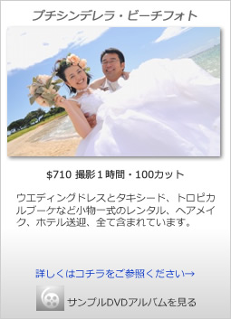 �v�`�V���f�����E�r�[�`�t�H�g