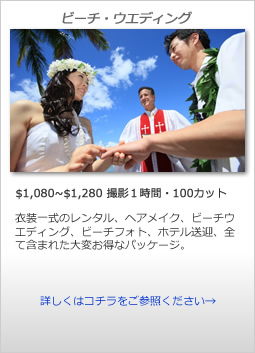 �r�[�`�E�F�f�B���O