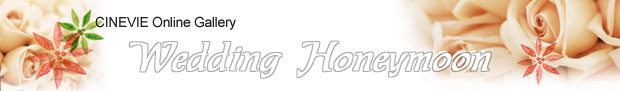 Wedding/Honeymoon