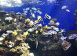 写真アルバム