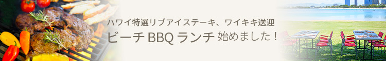 ハワイ ビーチBBQランチツアー